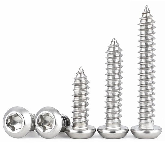 Bouten Torx a testa piatta - Acciaio inossidabile - Set da 50 pezzi