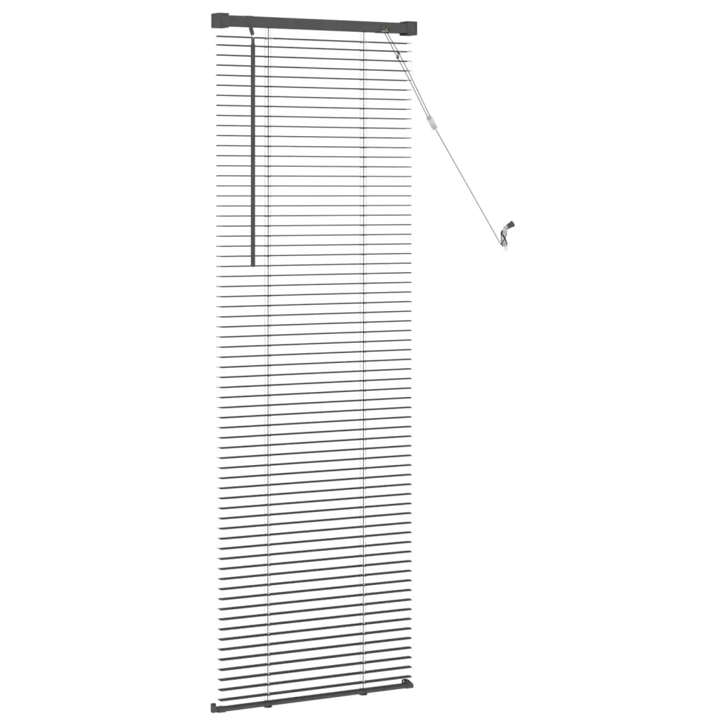 Tenda Veneziana | Tenda a lamelle Grigio Argento 150 x 60 cm 25 mm PVC