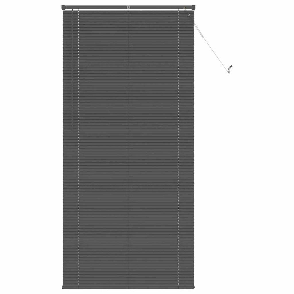 Tenda Veneziana | Tenda a lamelle Grigio Argento 213 x 100 cm 25 mm PVC