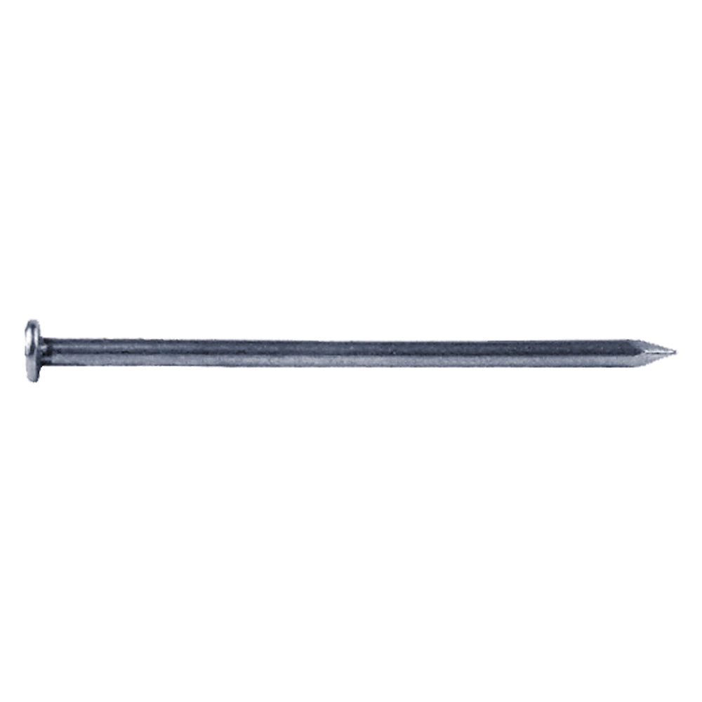 Punte testa piana 3,0 x 70 gr. 500