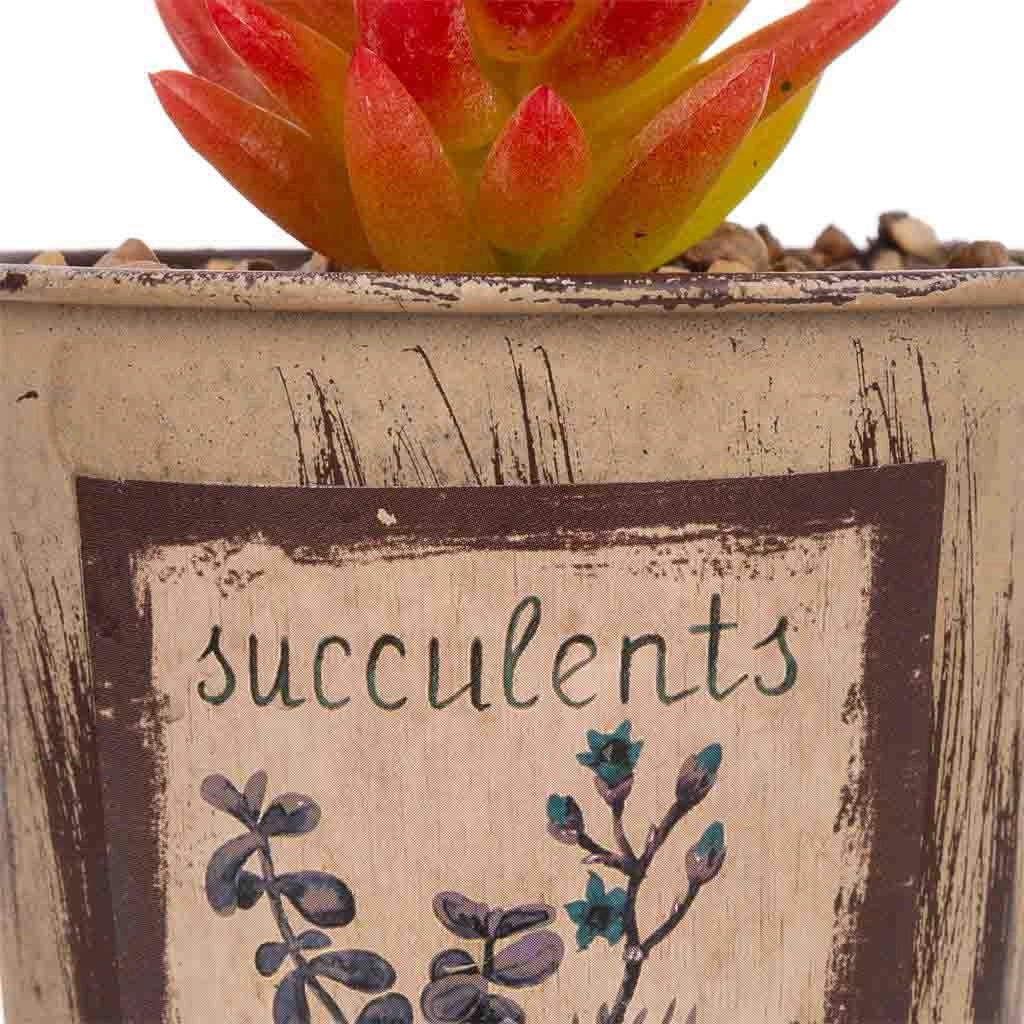 Vaso con cactus artificiale 10x10x17h