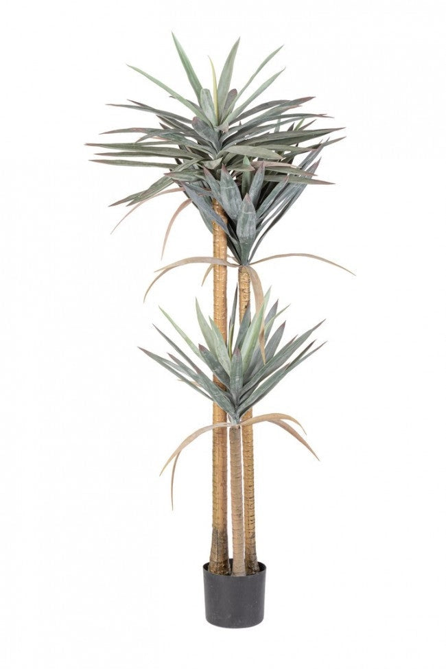 Set 2 Piante Artificiali Yucca 80x75x152 cm in Plastica con Vasi Verde