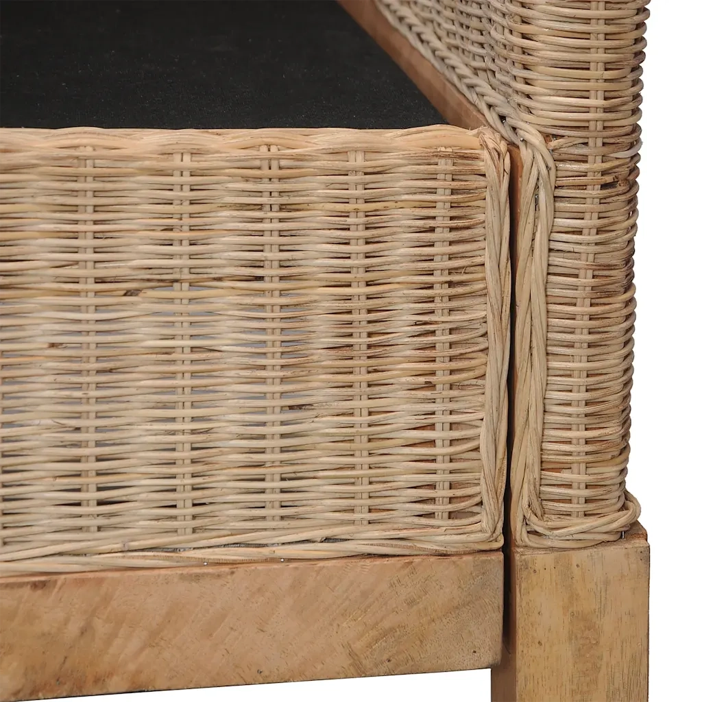 Divano a 2 Posti con Cuscini in Rattan Naturale 283076