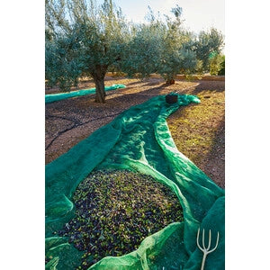C RETE P/OLIVE ANTISPINA 80G  8X12M