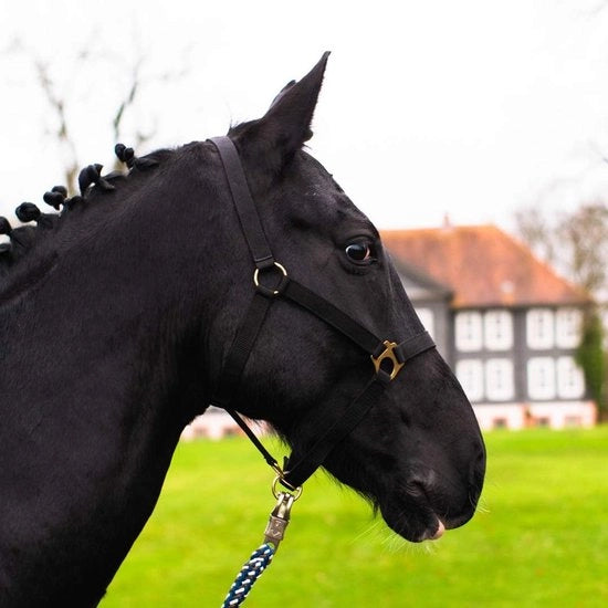 Accessori per Hobby Horse - Halstertouw - Accessori per Hobbyhorsing - Accessori per Halster Touw