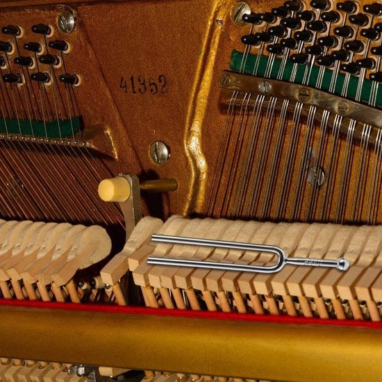 Astrometria - Vara a 440 Hz - In Acciaio Inossidabile - Tuner per Chitarra/Violino/Ukulele - Precisione di Accordo Naufragio - Inclusa Custodia di Riposo - 12,3 cm di Lunghezza - Vara di Accordo
