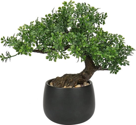 Bonsai Finto Boom 25 cm in Ciotola Ceramica - Decorazione Facile da Mantenere per Salotto, Camera da Letto e Bagno