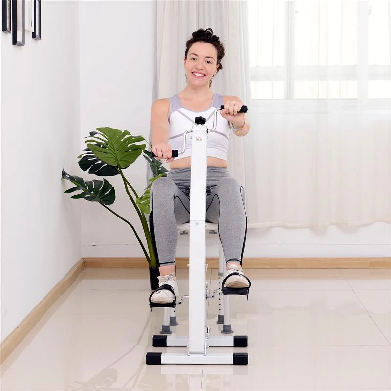 BI CICLO CYCLETTE PEDALIERA GAMBE E BRACCIA MANUALE