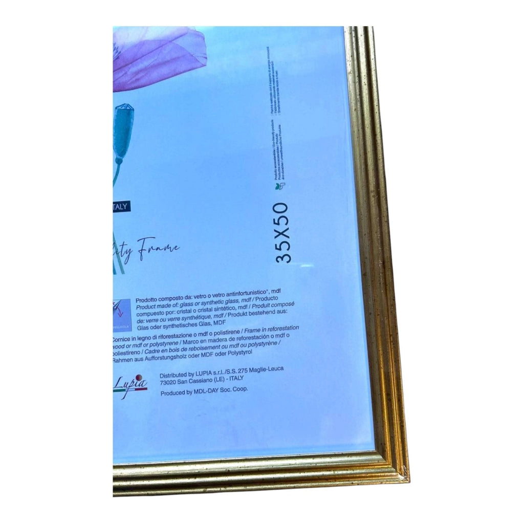 CORNICE LEGNO BLITZ ORO 35X50