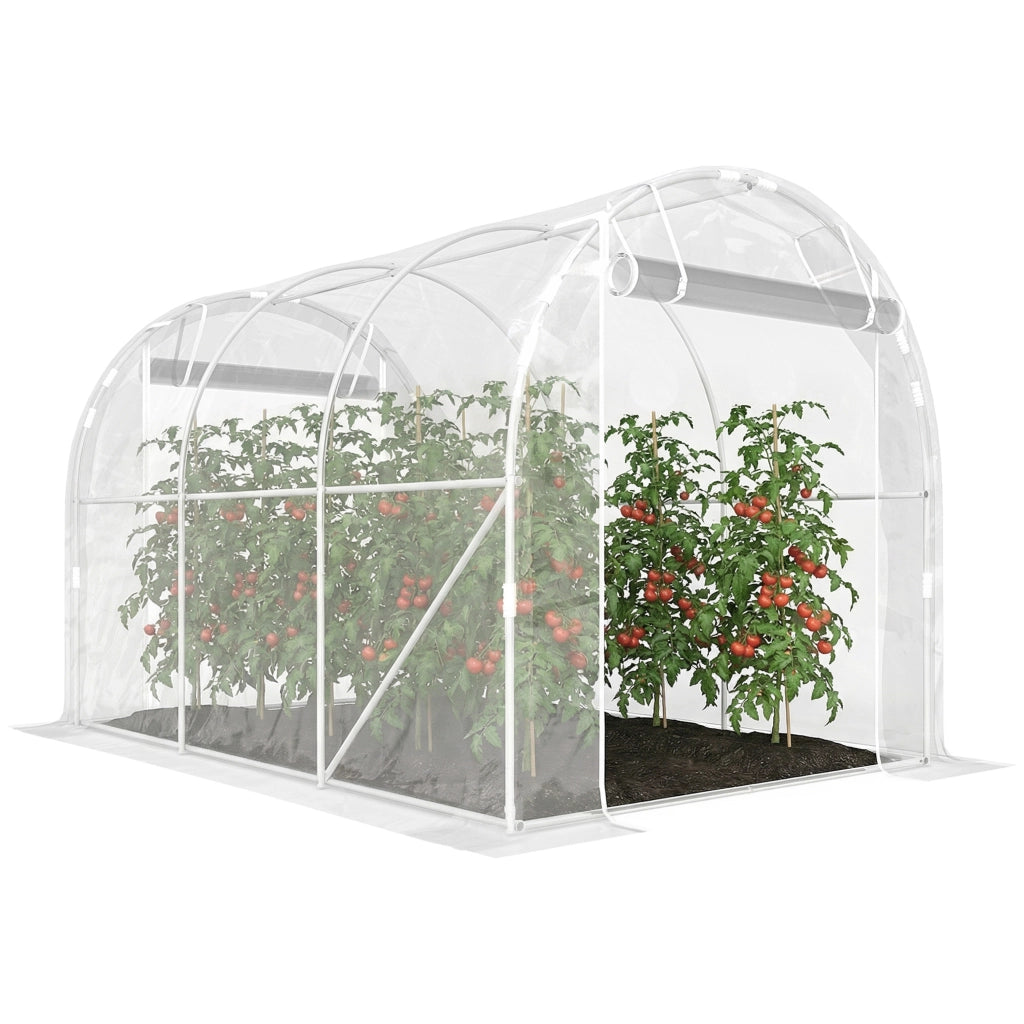 Serra da giardino tunnel ¨C Minimal ¨C 195x295x195cm acciaio galvanizzato bache PE trasparente
