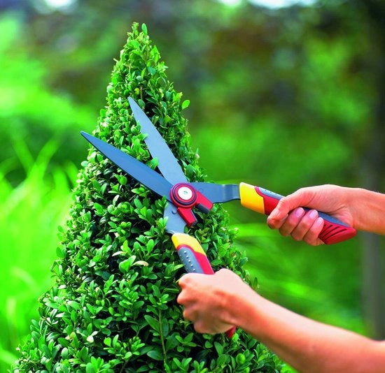 Taglierina per erba, motore da giardino, taglierina per giardino, taglierina da giardino
