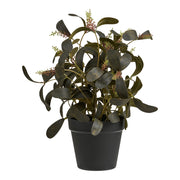 Pianta Artificiale Willow, Verde, Plastica, 22x22x35 cm