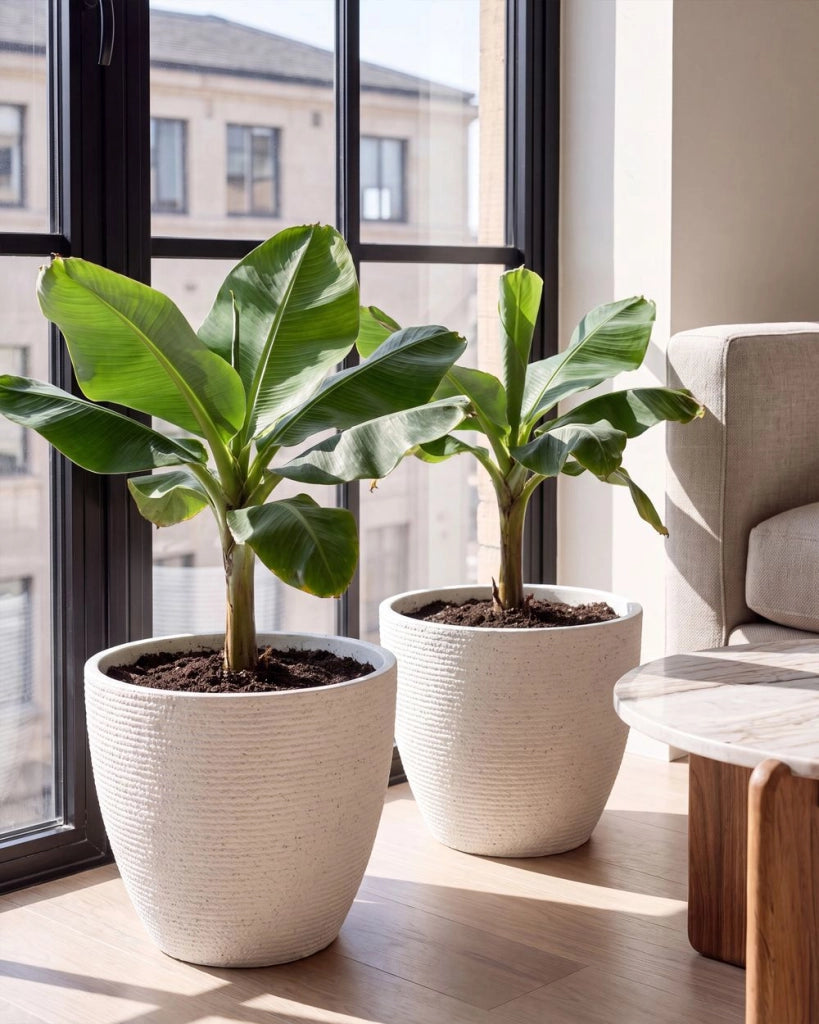 Set di 2 vasi da giardino grandi in materiale sintetico con effetto maglia, per terrazza, colore bianco sporco