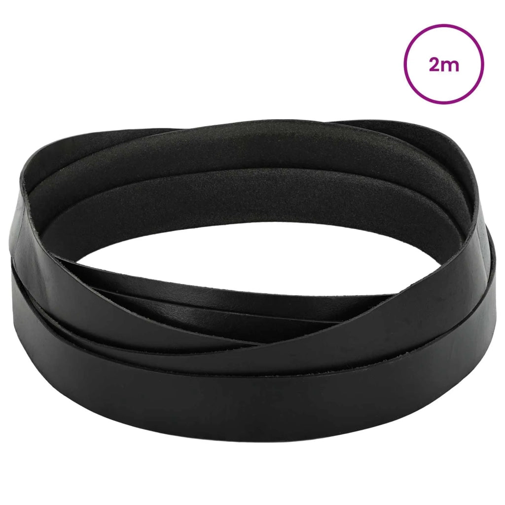 Cinturino in pelle Nero 200 x 3,5 cm Pelle 42034157