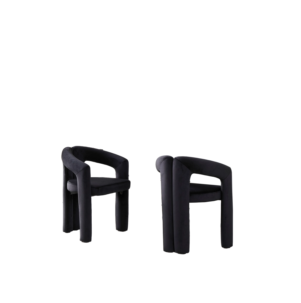 Set 2 sedie da pranzo in velluto nero con braccioli HOMVRA