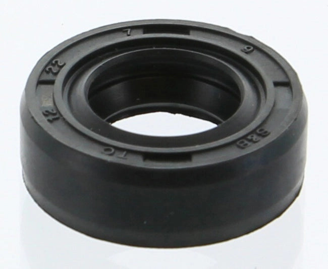 Sky 30 40 FIG.16 Paraolio Jet Sky