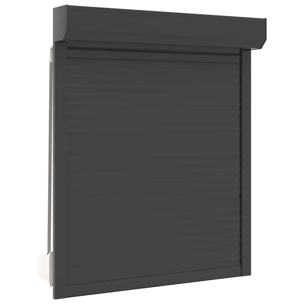 Persiana a rullo Antracite 100 x 120 cm Alluminio e poliuretano 42047066