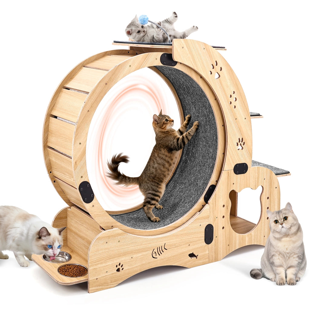 Ruota per gatti 6-in-1, grande tapis roulant silenzioso per esercizio indoor, mobile e giocattolo per gatti