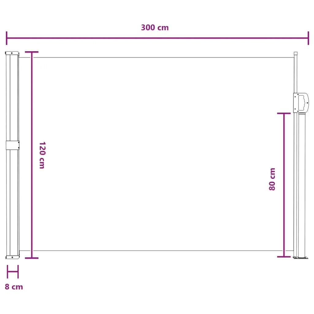 Tenda da Sole | Tenda laterale retrattile Grigio 300 x 117 cm Poliestere