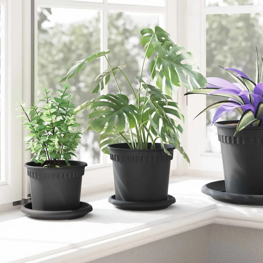 Vassoio Rotondo per Fiori 6 pcs Nero Ø 14 x 2 cm Plastica 42020306
