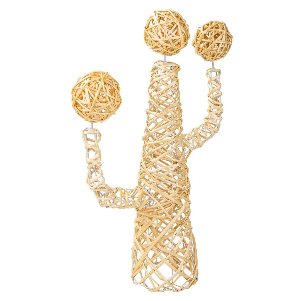 Cactus decoro midollino naturale 28x28x65h cm