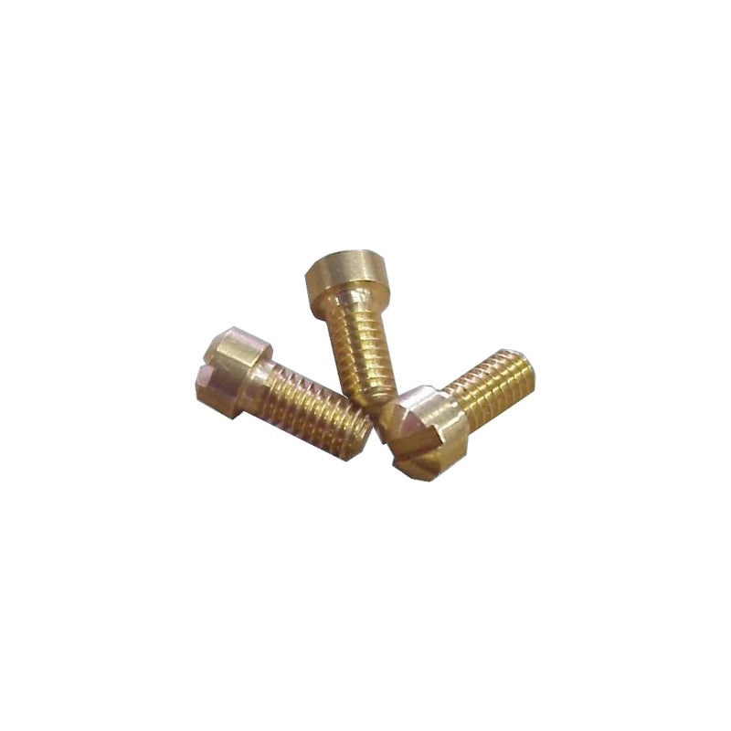 VITE (3PZ) 91002-0010 EX SP1002-01