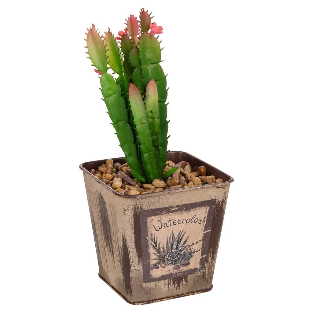 Vaso con cactus artificiale 9,5x9,5x21h