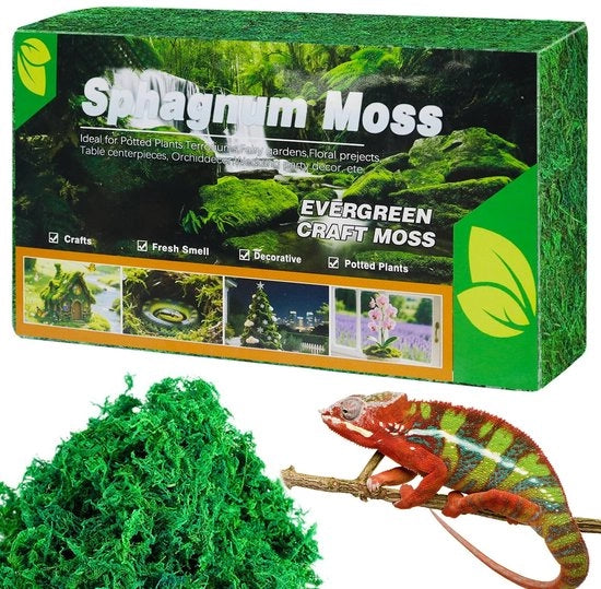 Sphagnum premium - Substraato naturale per piante e terrario - Verde scuro - Idoneo per rettili - Adatto per uso in acquario e terrario - Modello: Sphagnum premium - Codice prodotto: non specificato