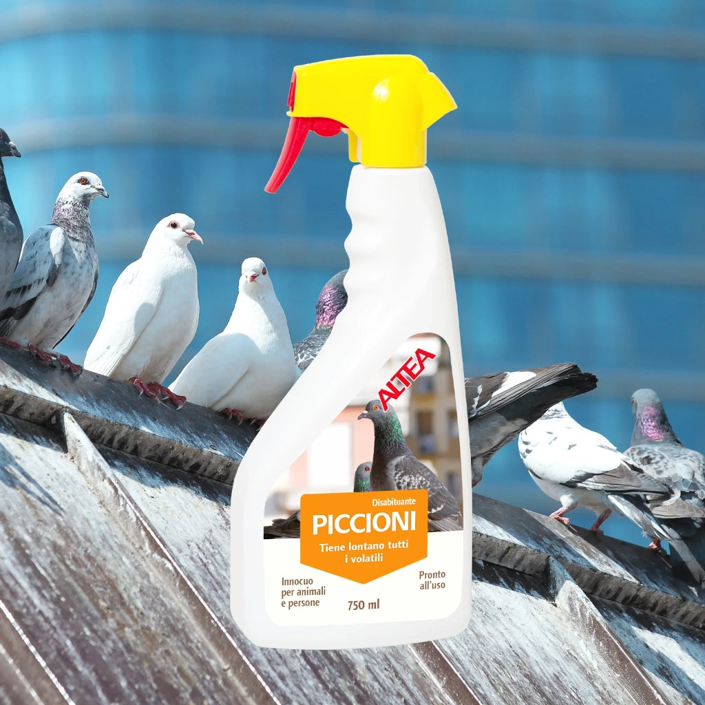 Altea Disabituante per Piccioni Spray Pronto all'Uso 750 ml