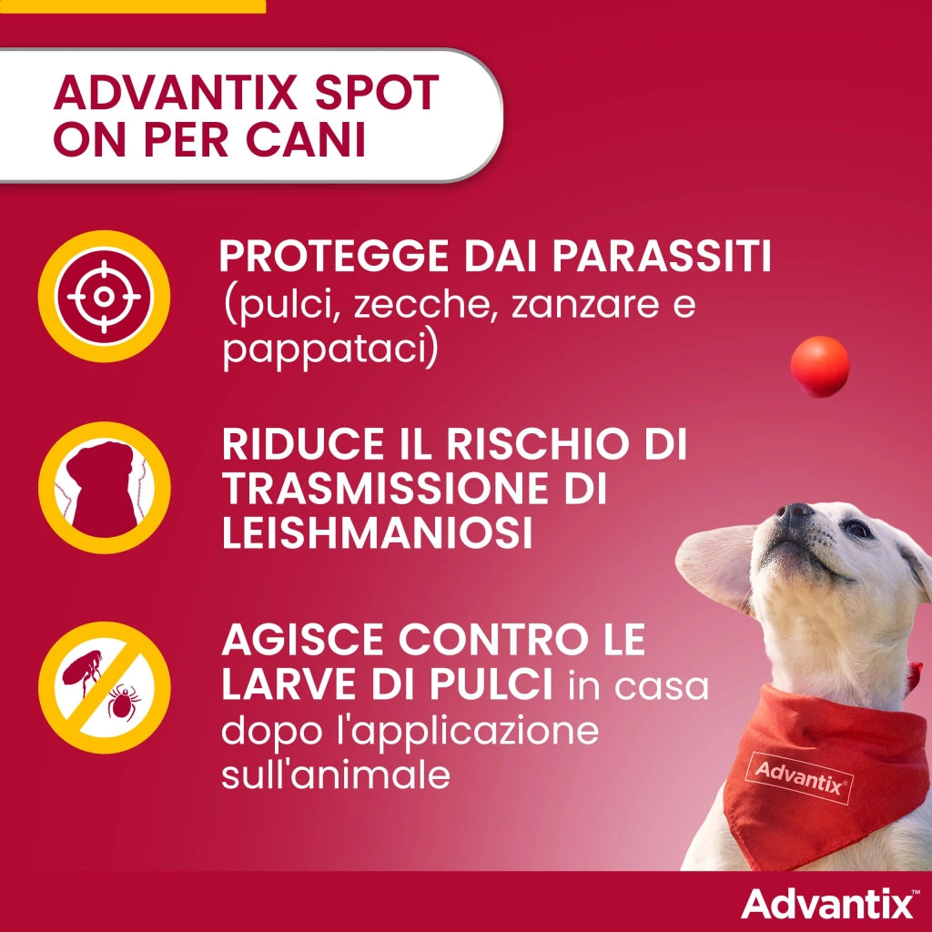 Antiparassitario Advantix per Cani Fino a 4 kg in Conf. da 6 Pipette Spoton