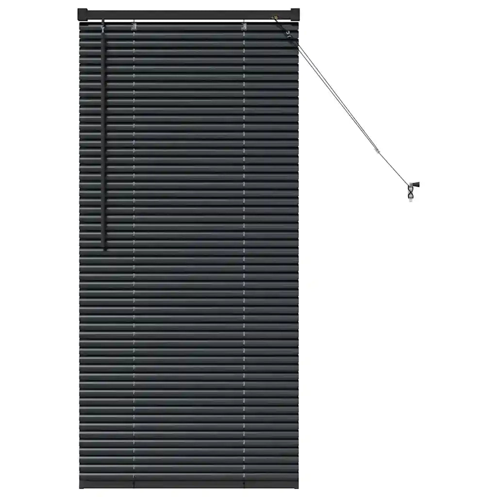 Tendaggi a Veneziana | Tenda a lamelle Nero 60 x 2,5 x 130 cm Alluminio