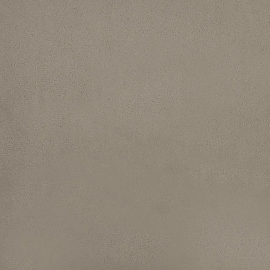 Divano Letto a 2 Posti con 2 Cuscini Grigio Chiaro in Velluto 375807