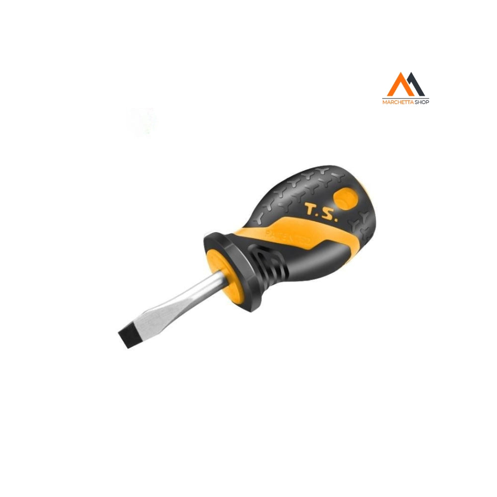 CACCIAVITE MINI PHILLIPS PH1X38