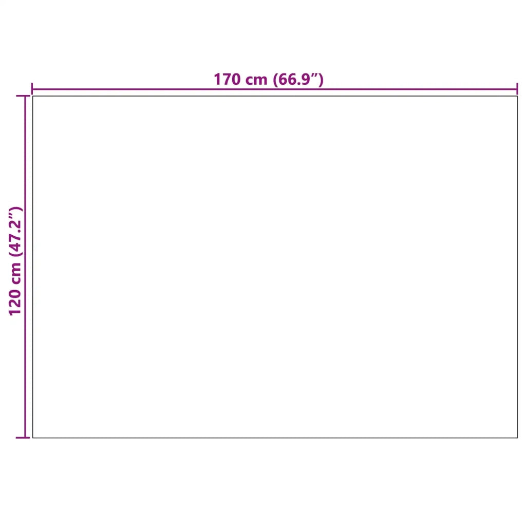 Tappeti per area | Tappeti a zone PALMERAS Antracite 170 x 120 cm Poliestere