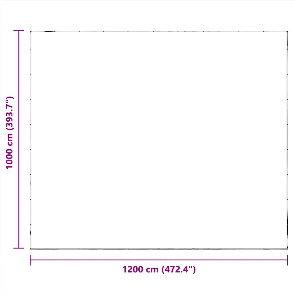Telone Trasparente con Occhielli 10x12 m in Polietilene 4018537
