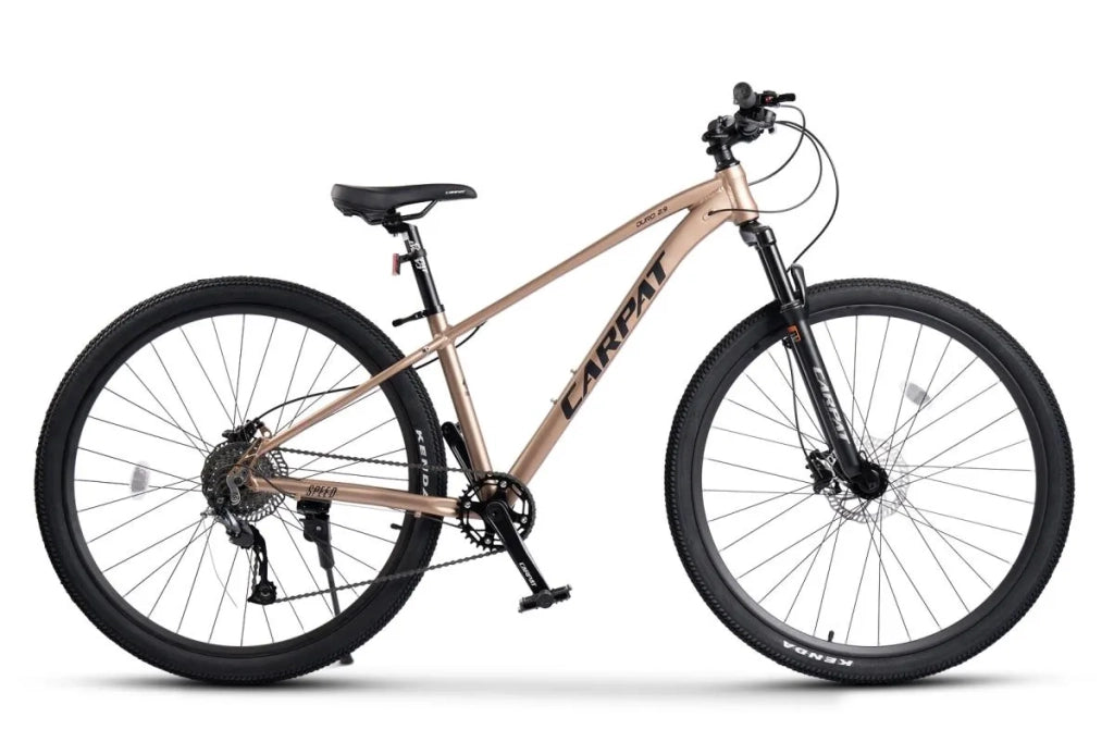 Bici MTB Hardtail 29", telaio alluminio, forcella 80mm, freni a disco idraulici, cambio Shimano Altus 1x9, gomme all-terrain, uomo 175-190 cm