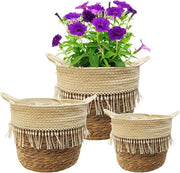 Pannelli per piante - Decorativi e funzionali - 3 pezzi - Cuscino di sabbia marina