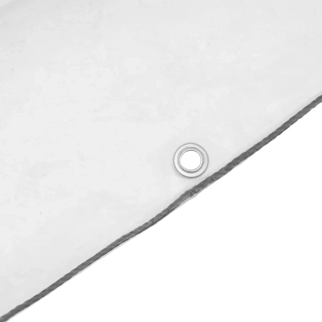 Telone Trasparente con Occhielli 1x2 m in Polietilene