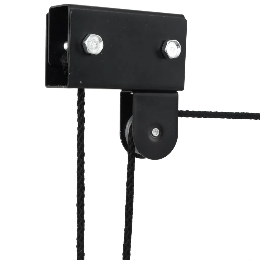 Sollevatore per Bici con Supporto a Soffitto 57 kg CFW8196482