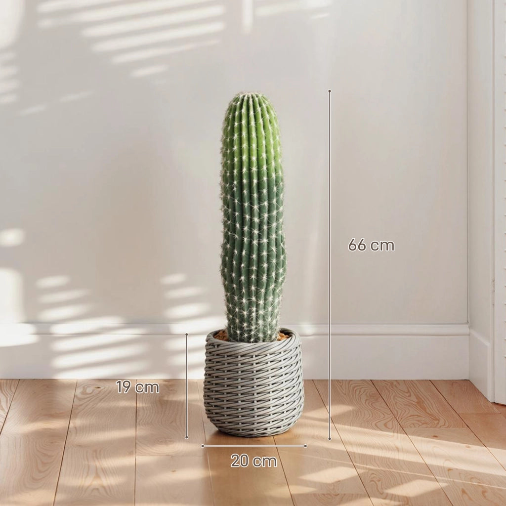 Pianta Artificiale Cactus ¨C zephmum ¨C Verde 66 cm