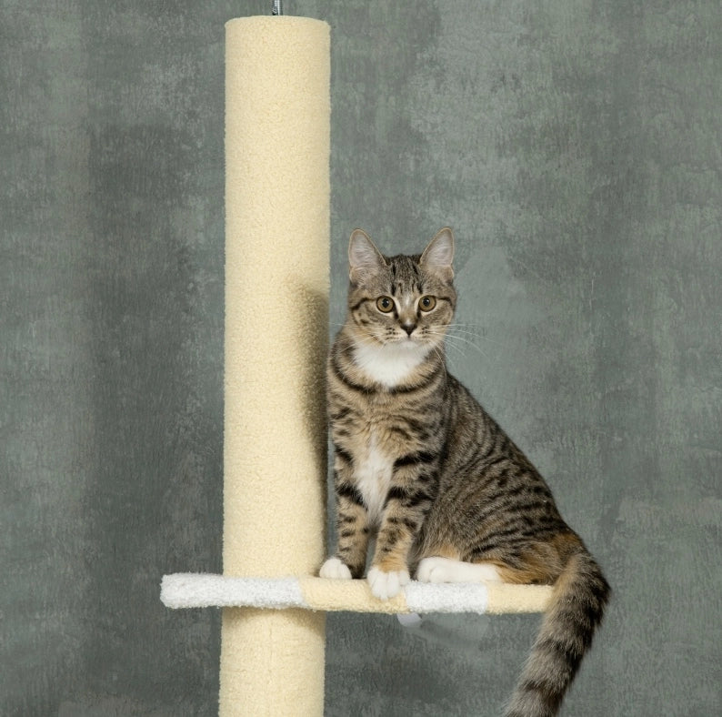 Tiragraffi per gatti regolabile 220-260 cm giallo