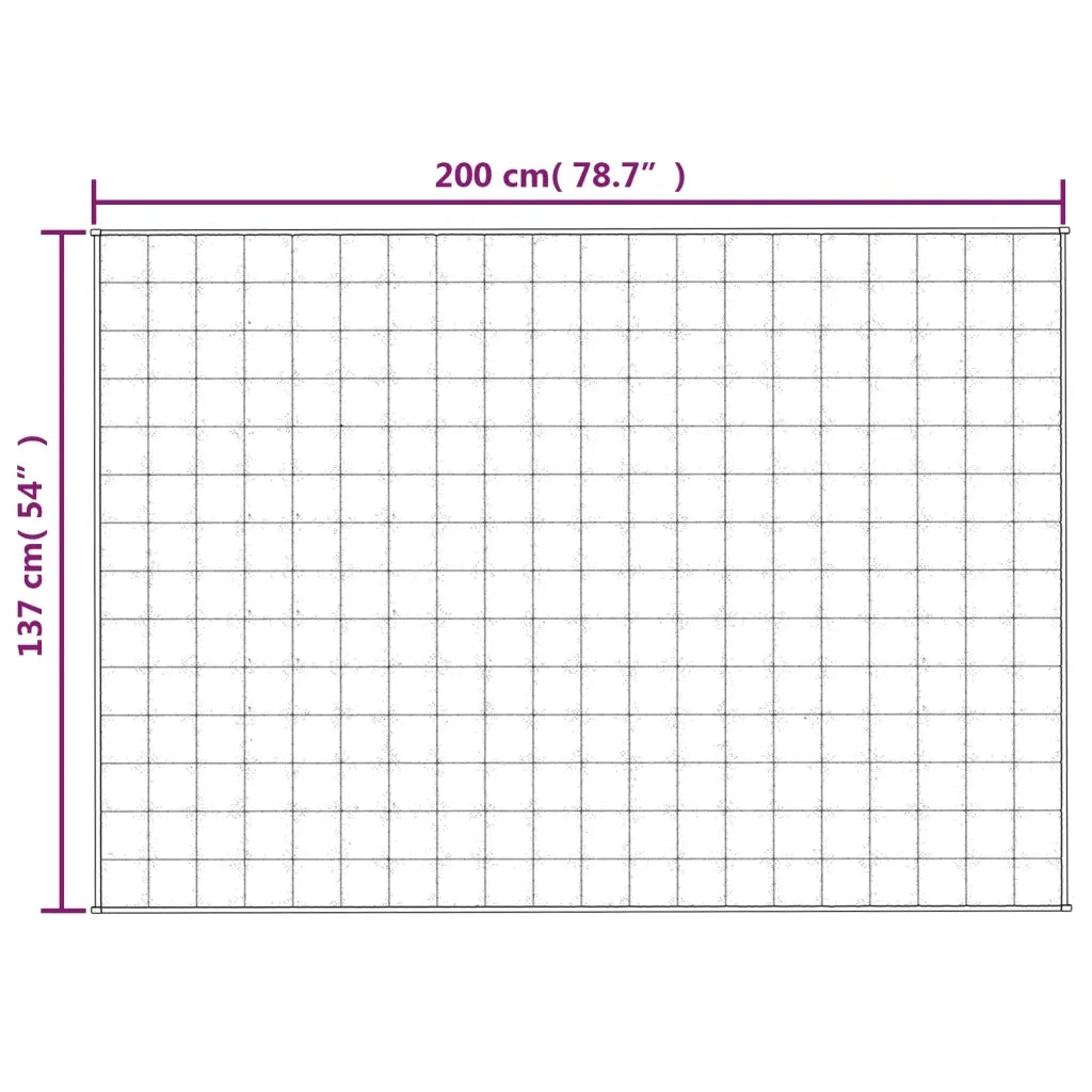 Coperta Ponderata Grigia 137x200 cm 6 kg Tessuto 3154778
