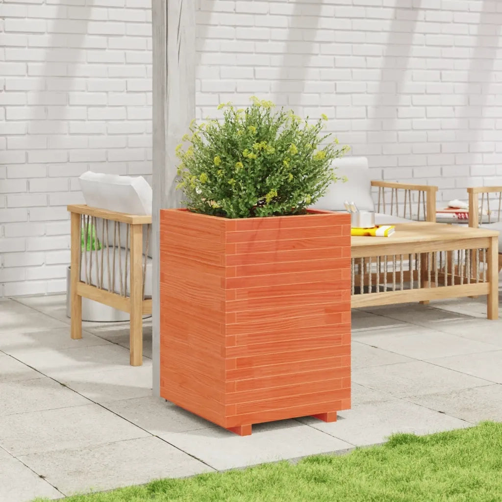 Fioriera | Cassetta per fiori | Vaso Giardino Marrone Cera 50x50x72,5cm Legno Massello Pino