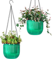 Hangend sistemi di irrigazione per piante - 65 pollici, set da 2