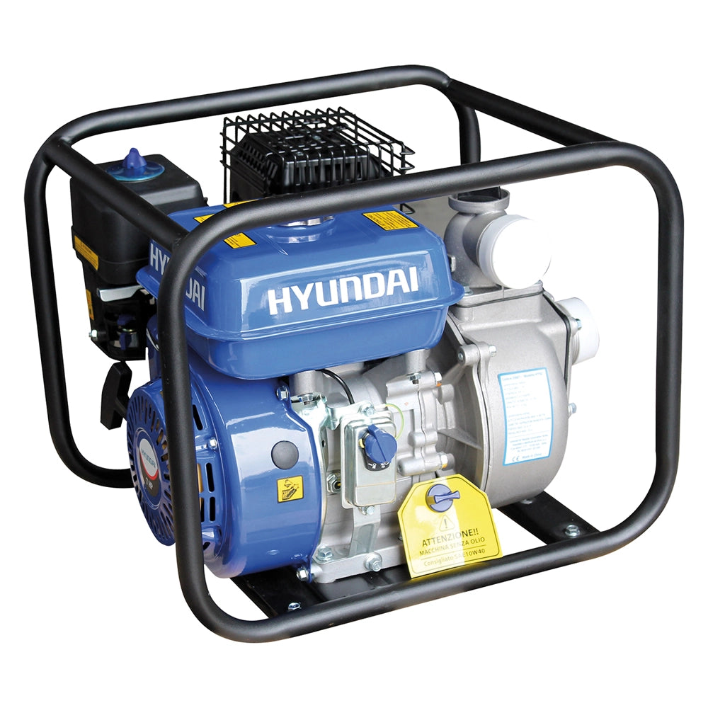 1pz motopompa autoadescante 'lt20cx-168f' hp 7,0 - cc 202 cod:ferx.6036610nlm