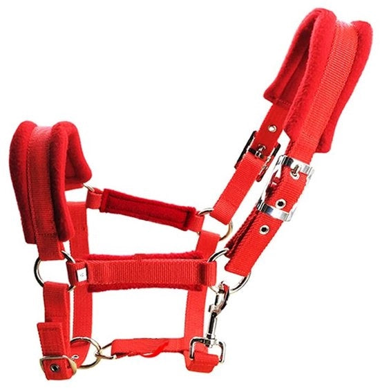 Halster per cavallo con guida flessibile - Steli regolabili - Cuscino di controllo morbido - Adatto per altezze di sella 1,3-1,5 m - Materiale in polipropilene