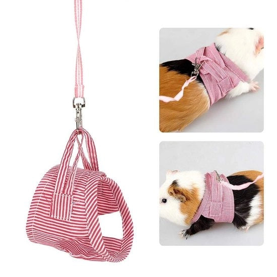 Vestone per Piccoli Animali - Set di Cinture - Vestibilità Esterna - Camminata - Adatta per Cavia/Ecureuile/Egidi/Frettello/Coniglio - Cintura di Sella
