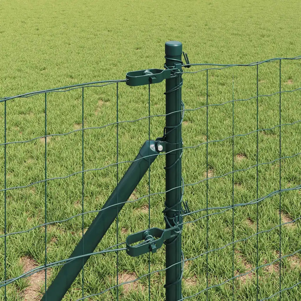 Recinzione con Posto Verde 0,8 x 25 m Acciaio