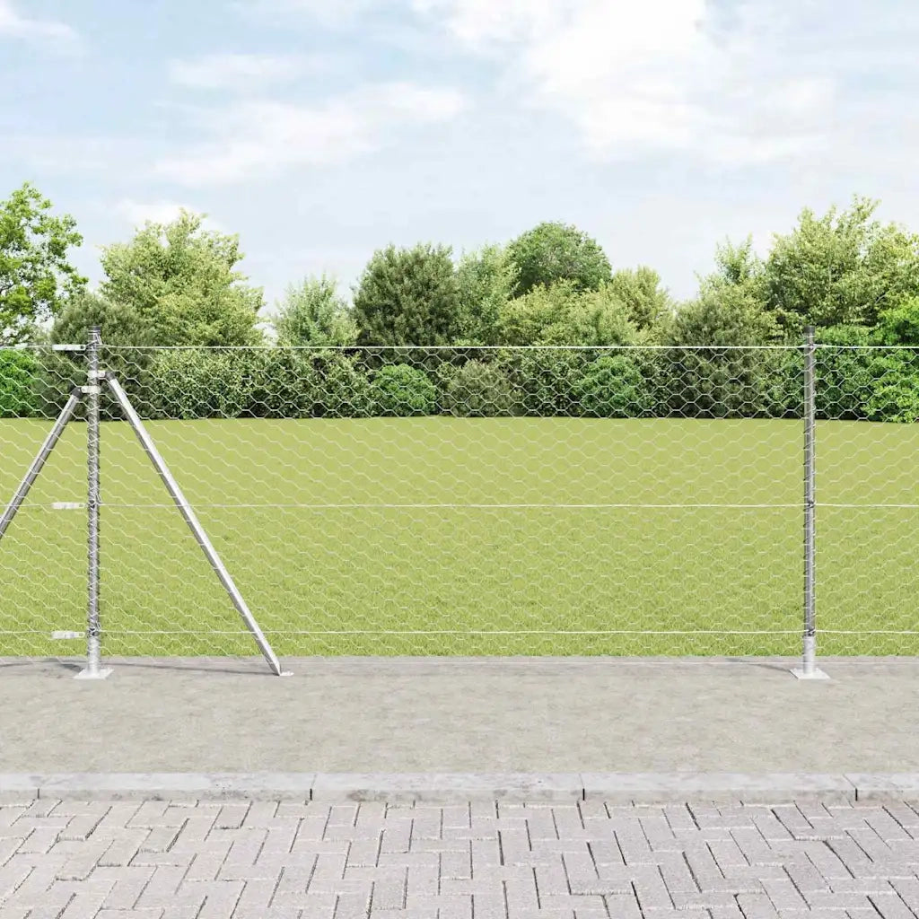 Palo della recinzione Argento 50 x 1 m (griglia 50 mm) Acciaio