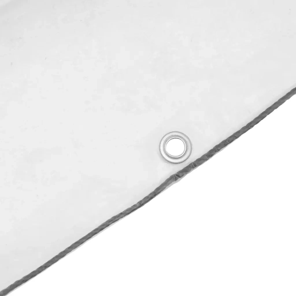 Telone Trasparente con Occhielli 2x5 m in Polietilene
